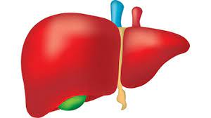 Hepatology Consultant